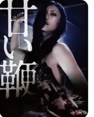 《甜蜜皮鞭》无删减版中文字幕在线观看-日本经典剧情片免费播放-甜蜜皮鞭HD高清1080P完整版资源