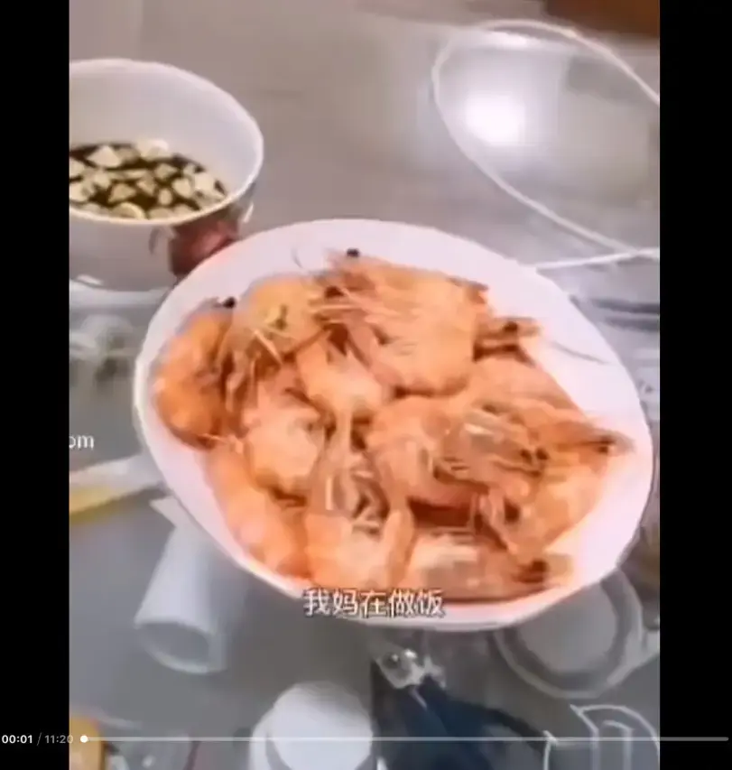 《大虾母子厨房完整版》高清视频免费在线看 - 猎奇视频来龙去脉解析 - 看完就明白的网络热梗