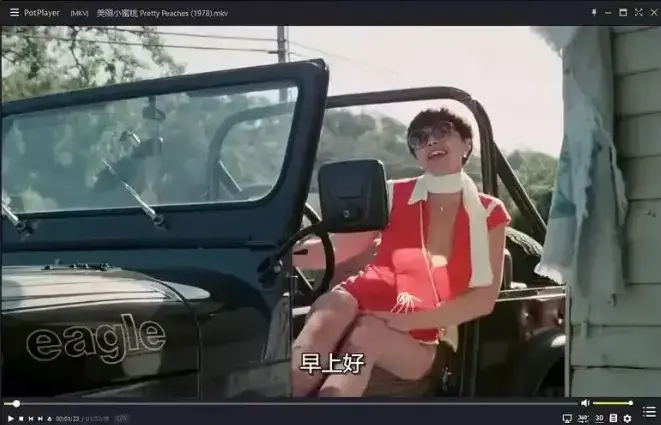 《美丽小蜜桃》未删减版高清中字在线看-1978年美国经典喜剧电影-《美丽小蜜桃》完整版免费观看