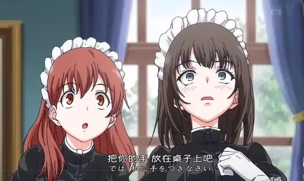 《女仆教育》动漫全集免费在线观看-无广告无删减完整版中字-VS风车动漫资源