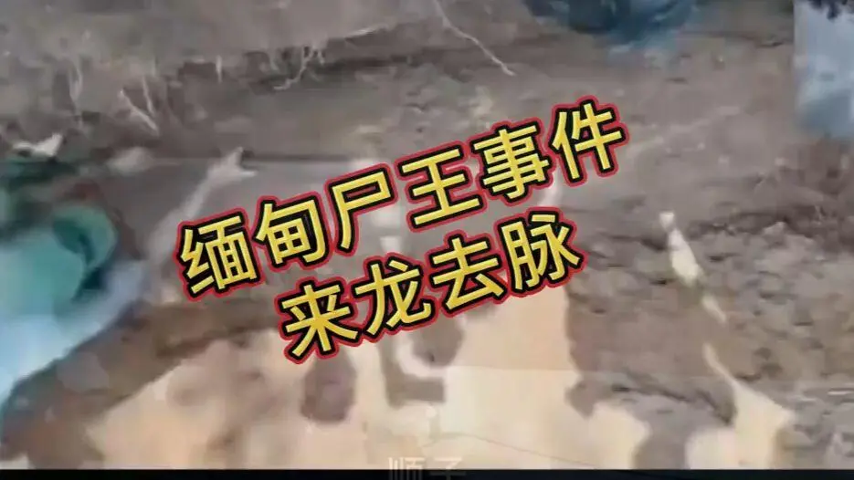 缅甸僵尸出土事件视频完整版资源在线观看免费播放 - 爆火视频缅甸僵尸出土事件始末原视频高清下载